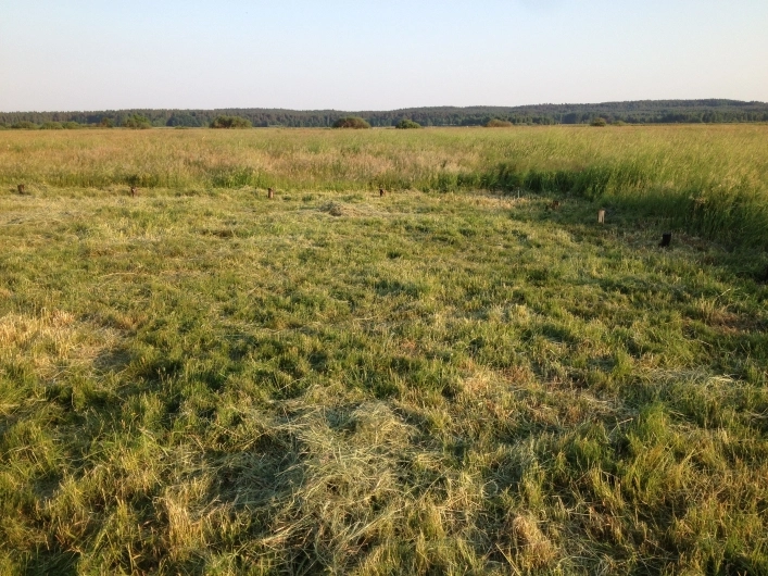 Morze Bałtyckie, 15 min. spacerem do plaży. Teren pod przyczepę, namiot itp. - zdjęcie 1