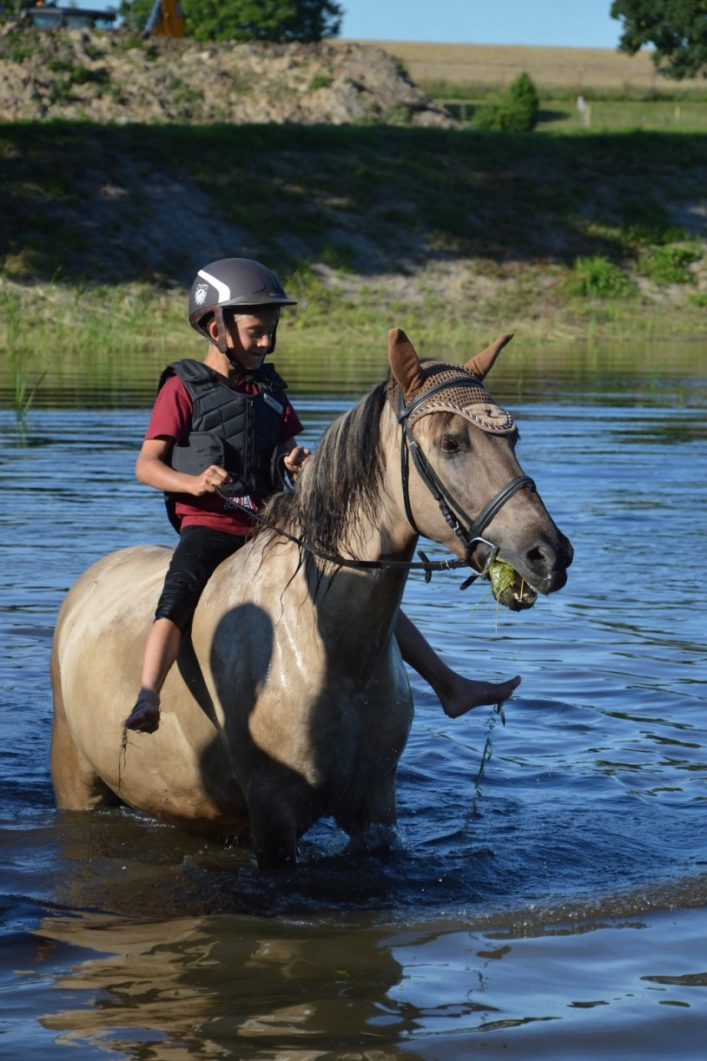 Klub Jeździecki Grodno Dwór - zdjęcie 2