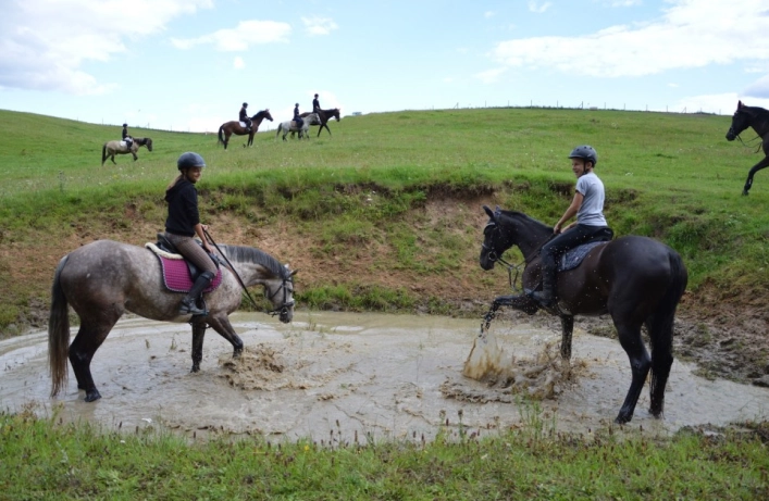 Klub Jeździecki Grodno Dwór - zdjęcie 1