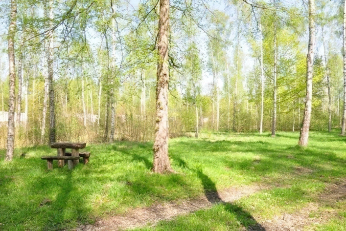 zobacz camping - zdjęcie 1