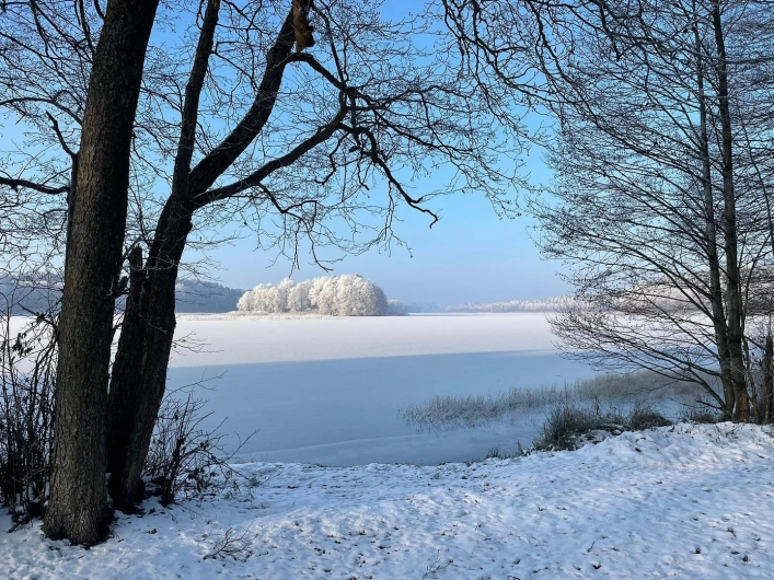 Latowisko - zdjęcie 1