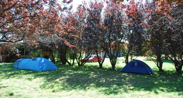 zobacz camping - zdjęcie 6