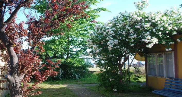 zobacz camping - zdjęcie 4