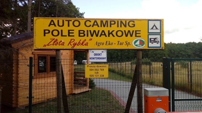 Złota Rybka nr. 168 - zdjęcie 4