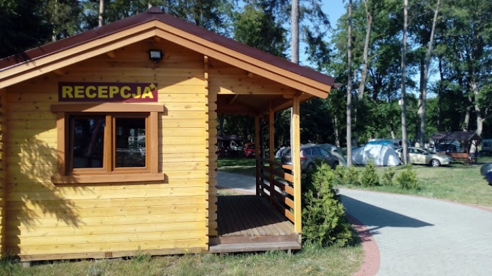 Złota Rybka nr. 168 - zdjęcie 1