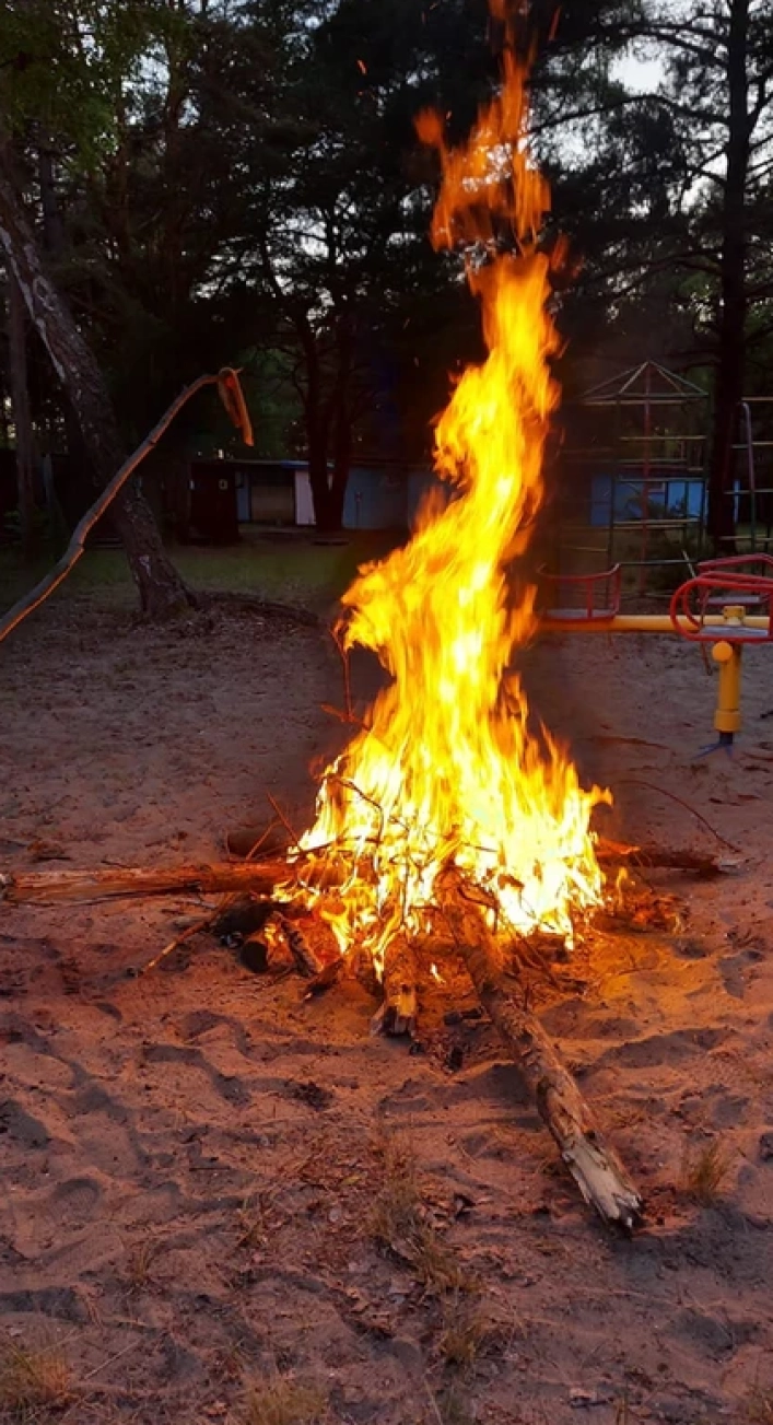 Camp Bursztynowy Las - zdjęcie 3