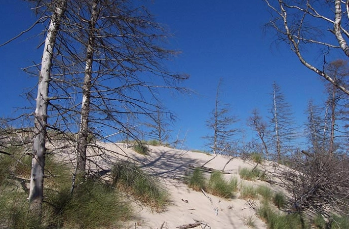 Ośrodek Wczasowy Filarówka  - zdjęcie 2