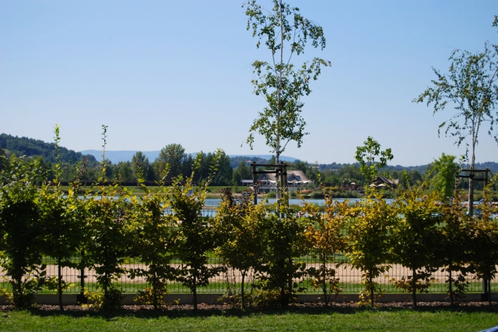 zobacz camping - zdjęcie 13