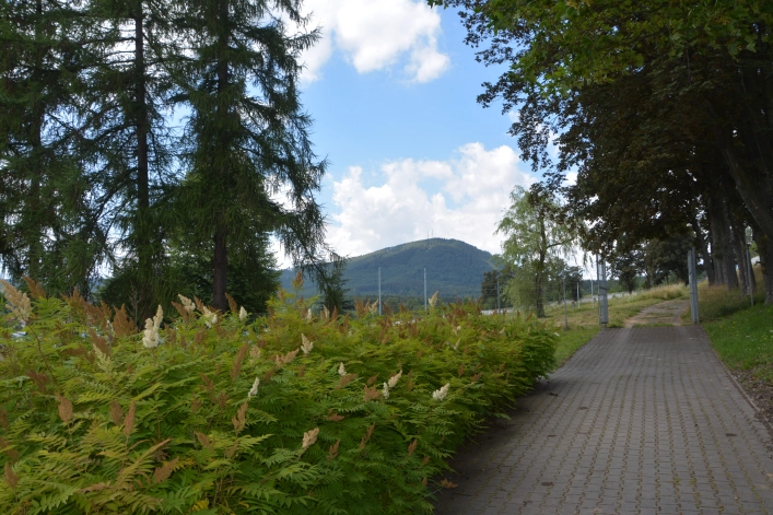 Camper Park Aqua Zdrój - zdjęcie 4