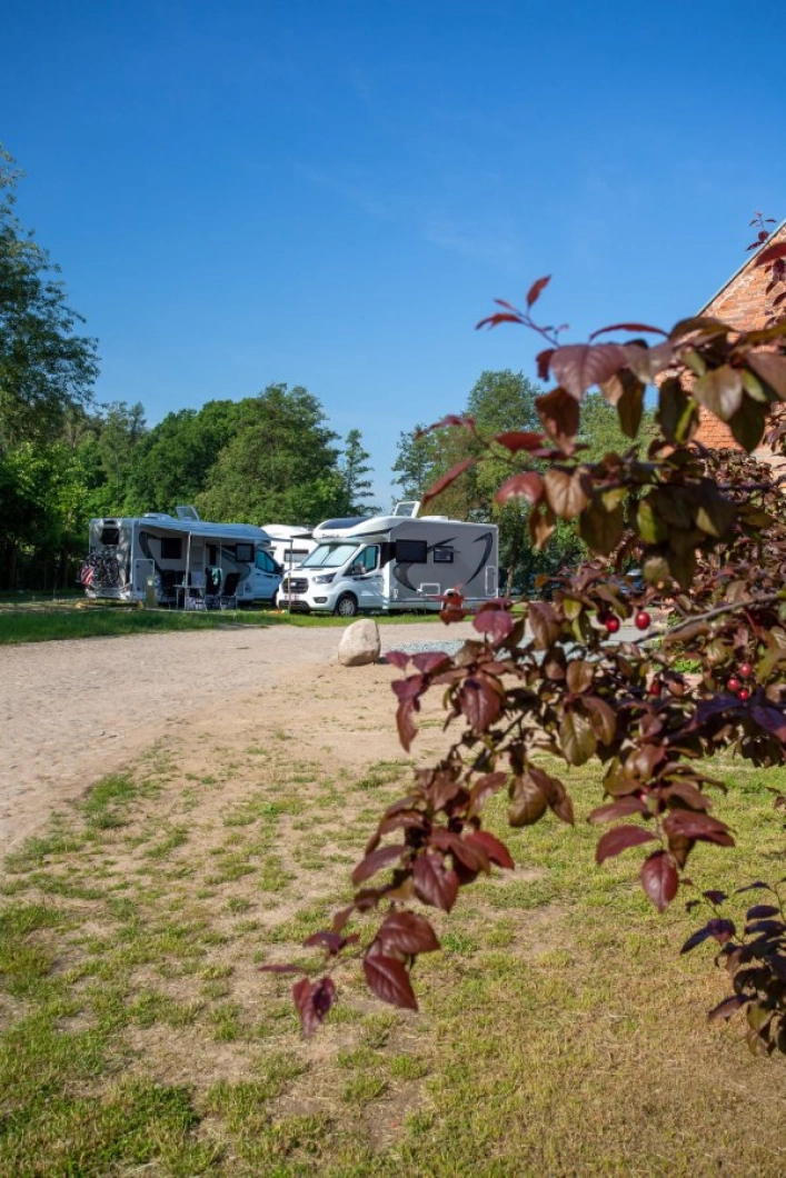 Olandia Kamper Park - zdjęcie 6