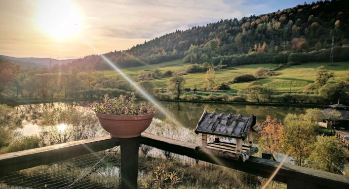 Wilcza Jama - karczma myśliwska, domki całoroczne - zdjęcie 5