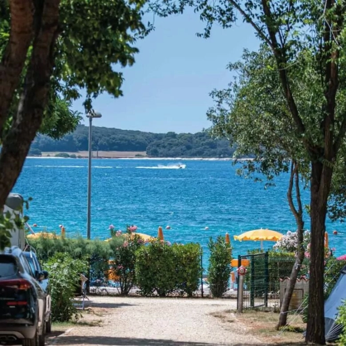 zobacz camping - zdjęcie 8