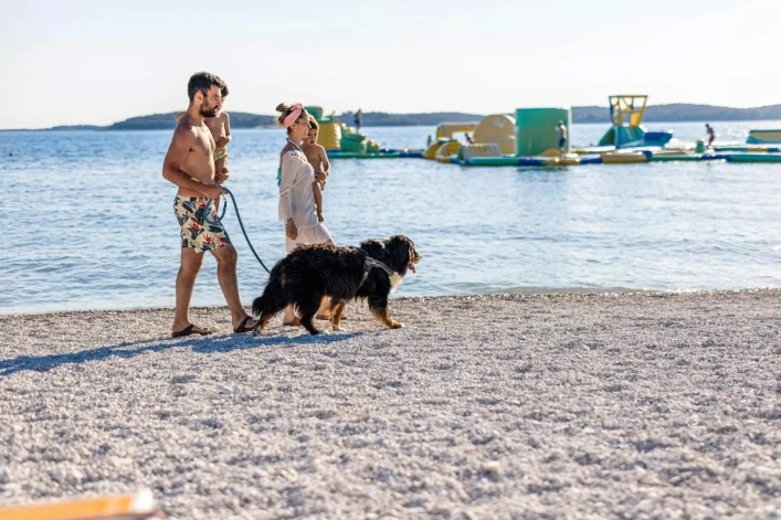 zobacz camping - zdjęcie 6