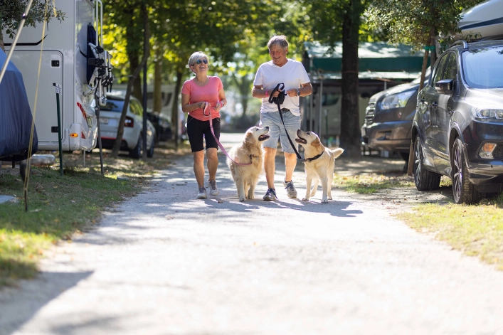 zobacz camping - zdjęcie 19