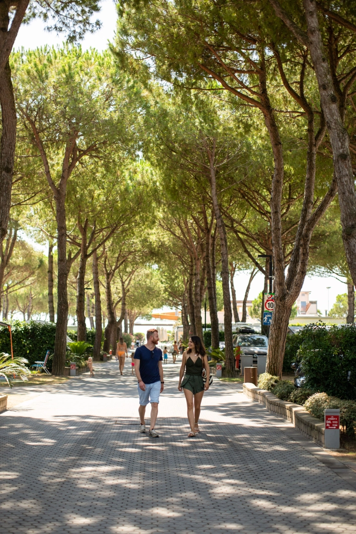 zobacz camping - zdjęcie 28