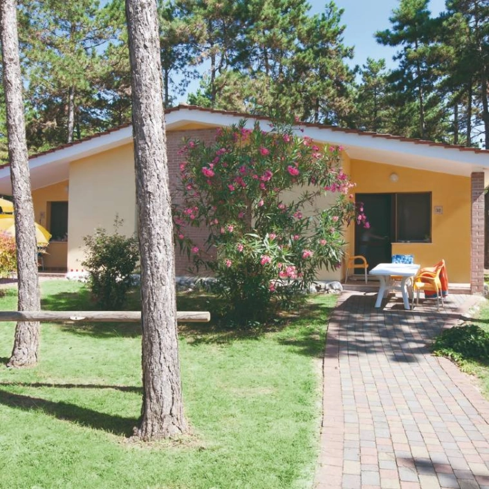 zobacz camping - zdjęcie 9