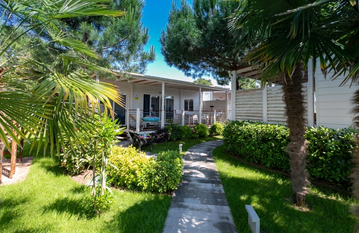 zobacz camping - zdjęcie 27