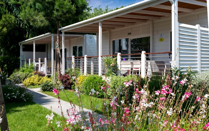 zobacz camping - zdjęcie 26