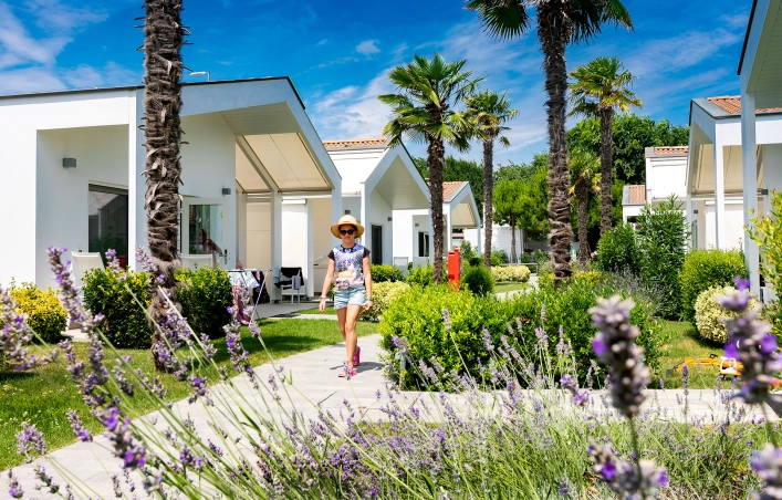 zobacz camping - zdjęcie 12