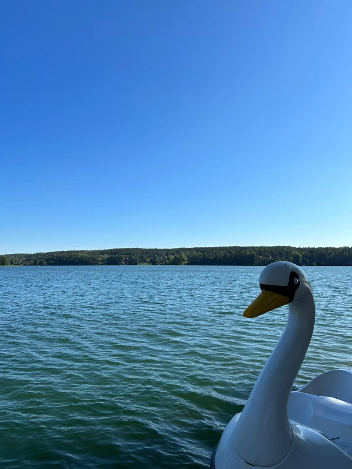 zobacz kemping - zdjęcie 28