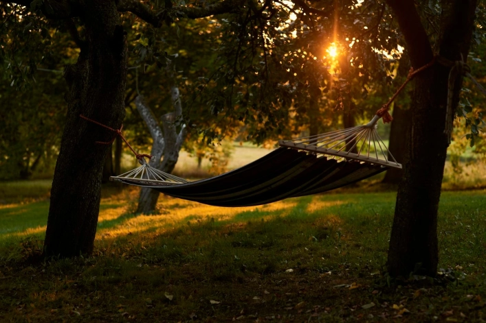 zobacz camping - zdjęcie 16