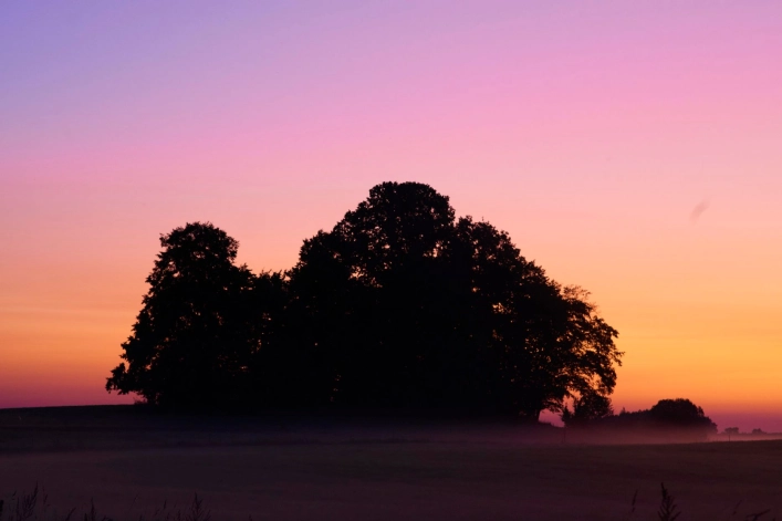 zobacz camping - zdjęcie 15