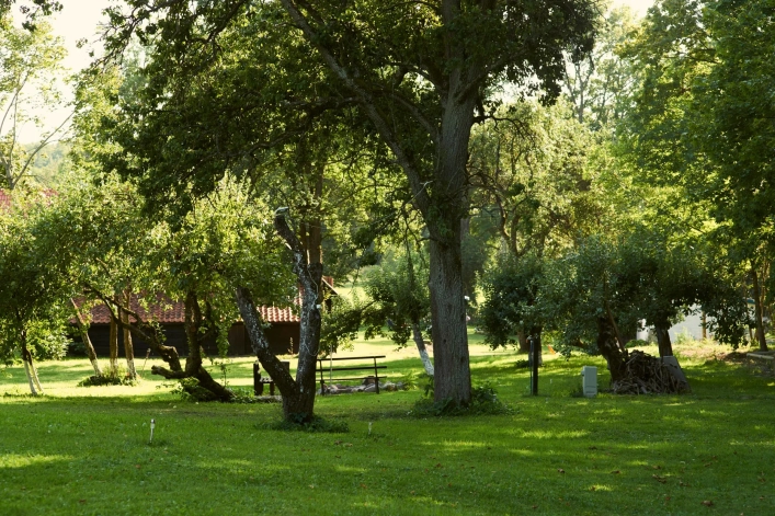 zobacz camping - zdjęcie 11