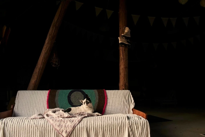 zobacz camping - zdjęcie 4