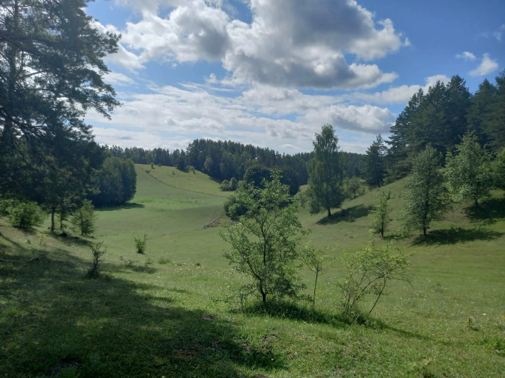 Pasieka Giławy - zdjęcie 2