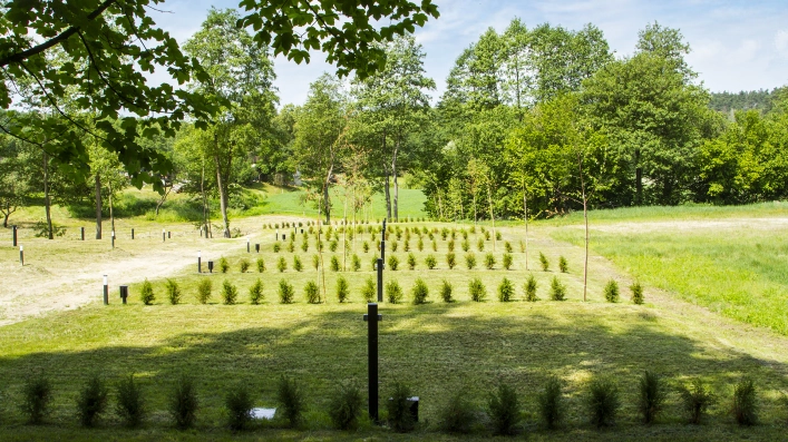 zobacz camping - zdjęcie 3