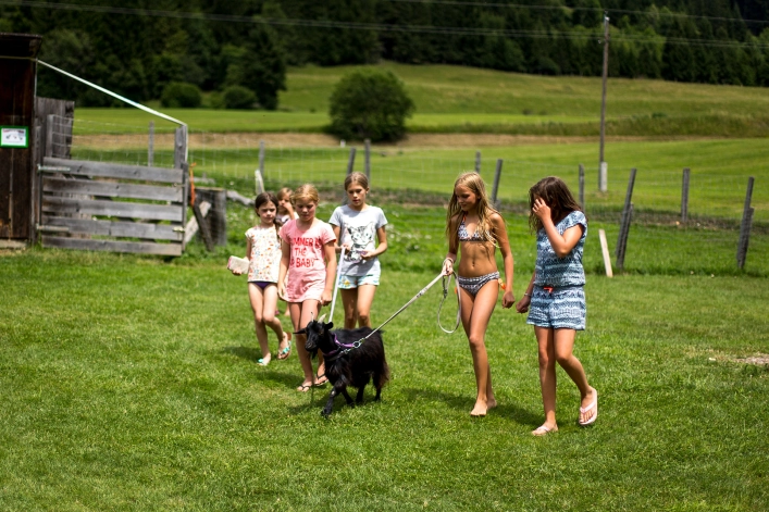 zobacz camping - zdjęcie 20