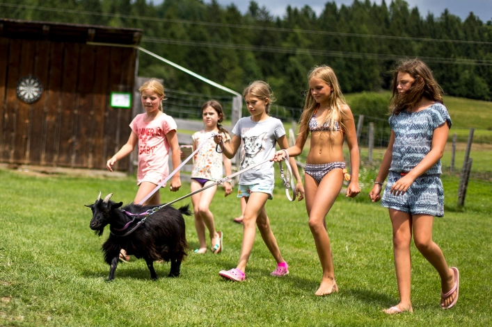 zobacz camping - zdjęcie 19