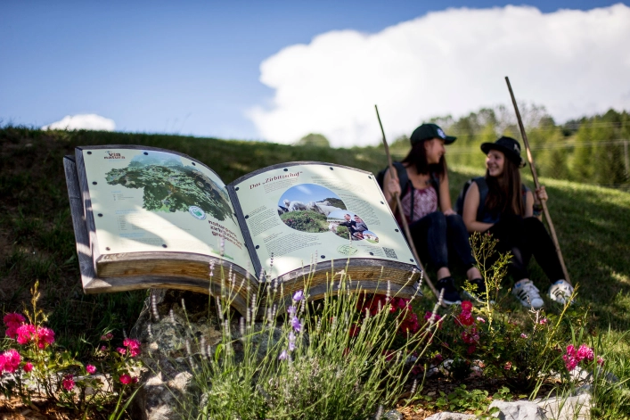 zobacz camping - zdjęcie 6