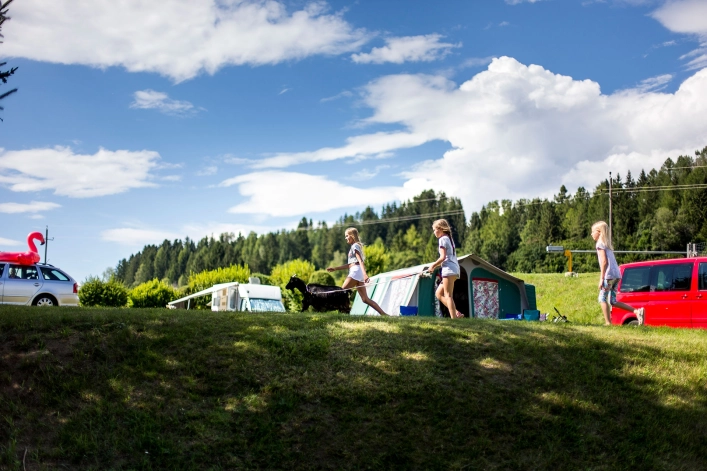 zobacz camping - zdjęcie 1