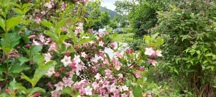 zobacz camping - zdjęcie 14