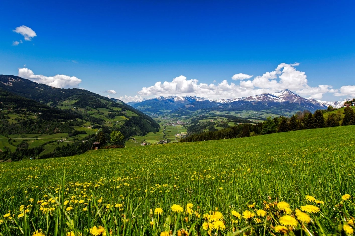 zobacz camping - zdjęcie 7