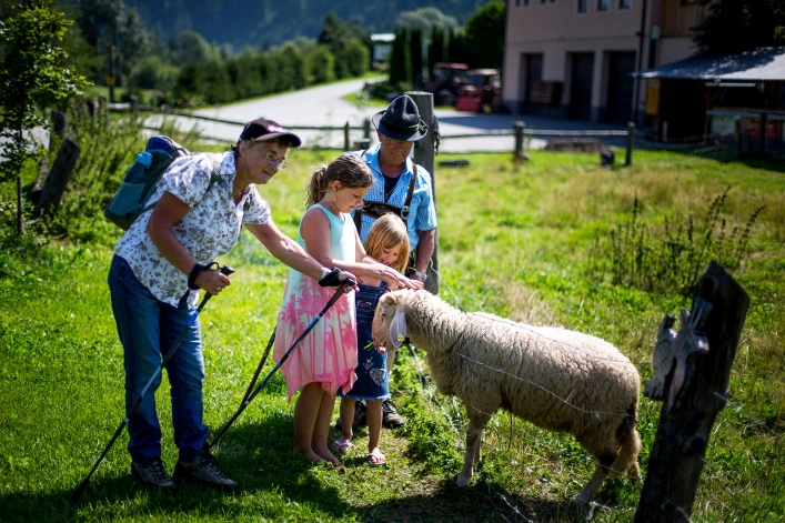 zobacz camping - zdjęcie 9