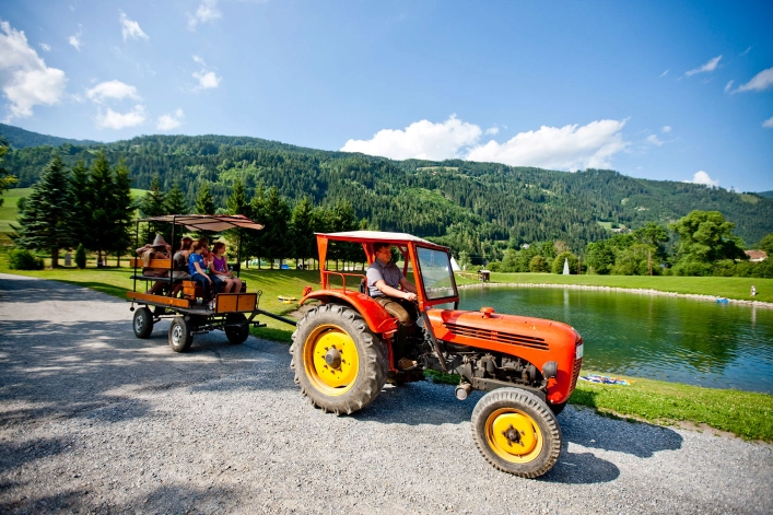 zobacz camping - zdjęcie 11