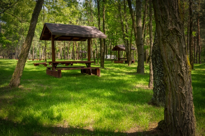 zobacz camping - zdjęcie 4