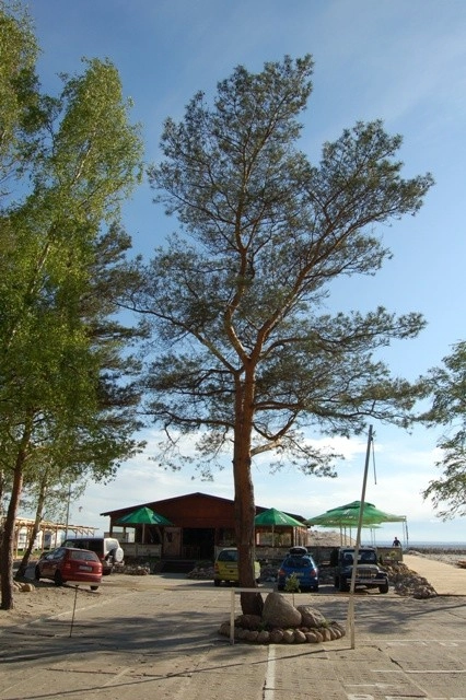 Camping Maszoperia - zdjęcie 6