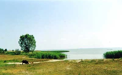 Galeria - zdjęcie 17