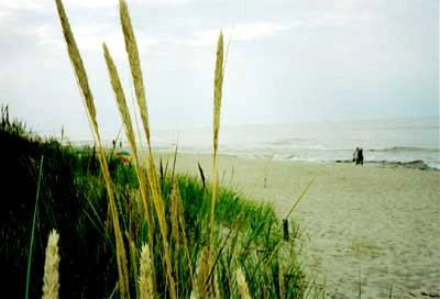 Galeria - zdjęcie 16