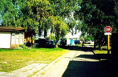 Galeria - zdjęcie 14