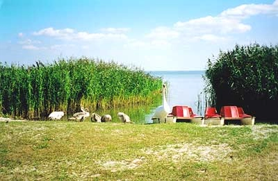 Galeria - zdjęcie 13