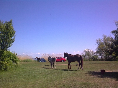 Galeria - zdjęcie 11