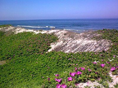 Galeria - zdjęcie 10