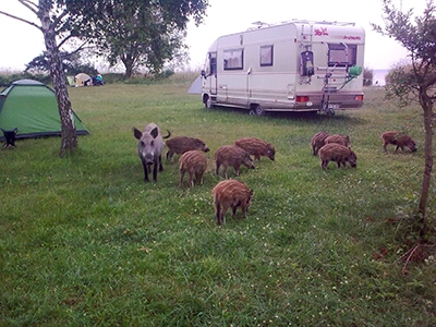 Galeria - zdjęcie 9