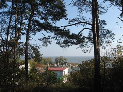 Galeria - zdjęcie 7