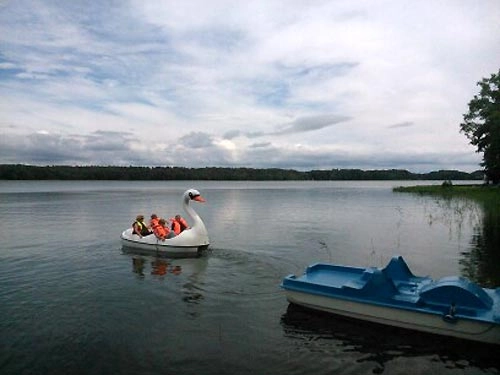 Galeria - zdjęcie 13