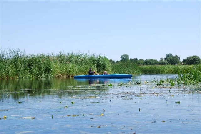 Gołdap, Camping nr 220 - zdjęcie 1